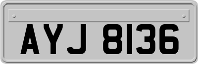 AYJ8136