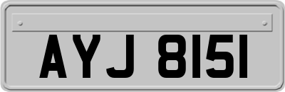 AYJ8151