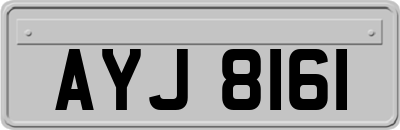AYJ8161