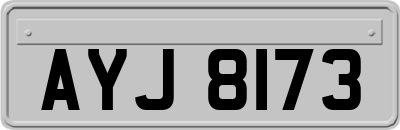 AYJ8173