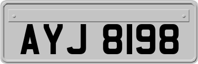 AYJ8198