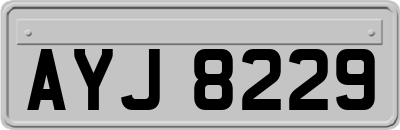AYJ8229