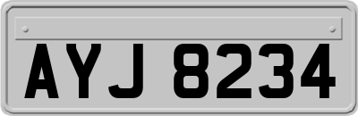 AYJ8234