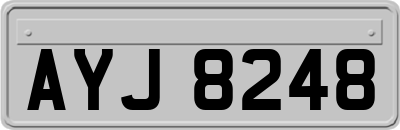 AYJ8248
