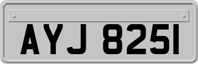 AYJ8251