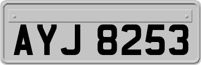AYJ8253