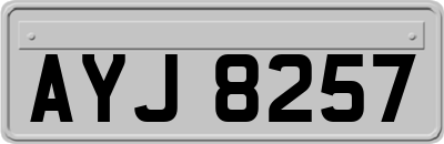 AYJ8257