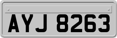 AYJ8263