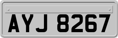 AYJ8267