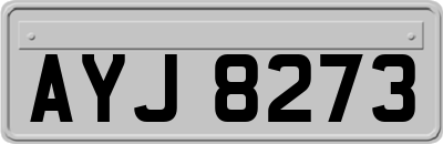 AYJ8273