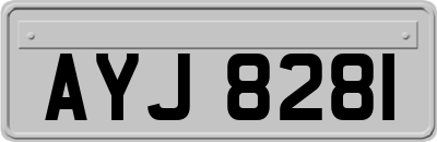 AYJ8281