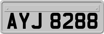 AYJ8288