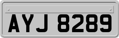 AYJ8289