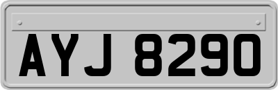 AYJ8290