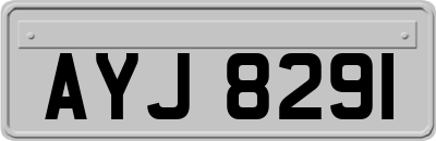 AYJ8291