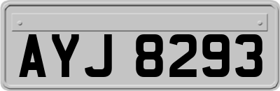 AYJ8293