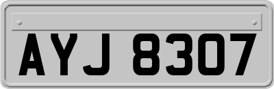 AYJ8307