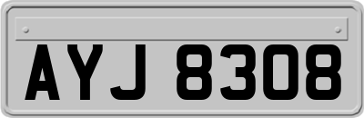 AYJ8308