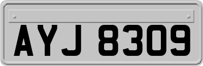 AYJ8309