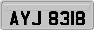AYJ8318