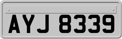 AYJ8339