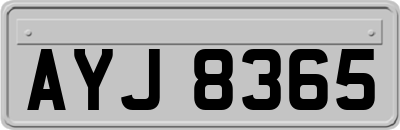 AYJ8365