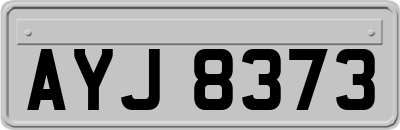AYJ8373