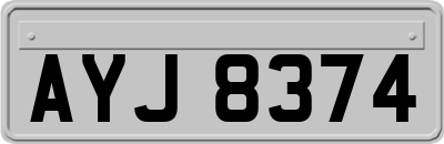 AYJ8374