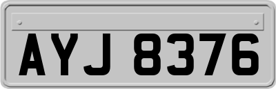 AYJ8376