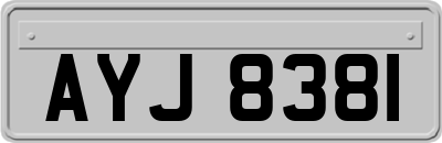 AYJ8381