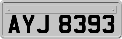 AYJ8393