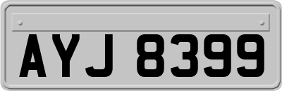 AYJ8399
