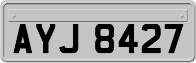 AYJ8427