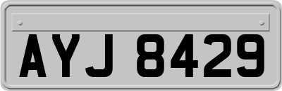 AYJ8429