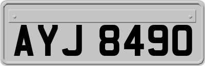 AYJ8490