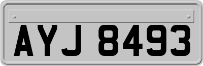 AYJ8493