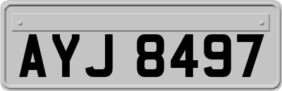 AYJ8497