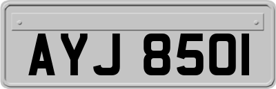 AYJ8501