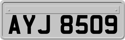 AYJ8509