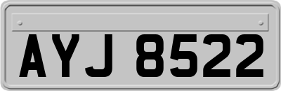 AYJ8522