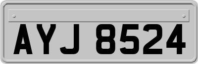 AYJ8524