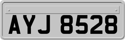 AYJ8528