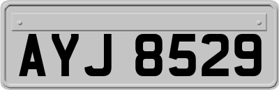 AYJ8529