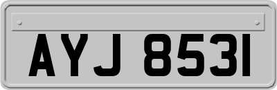 AYJ8531