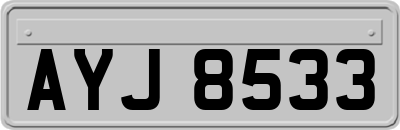 AYJ8533