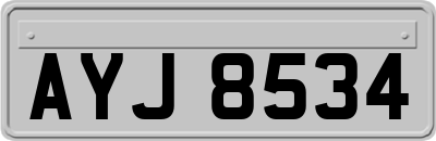 AYJ8534