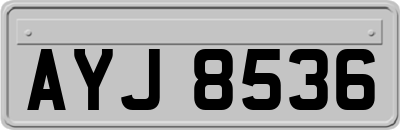 AYJ8536