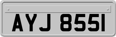 AYJ8551