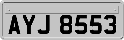 AYJ8553