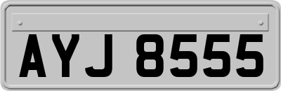AYJ8555